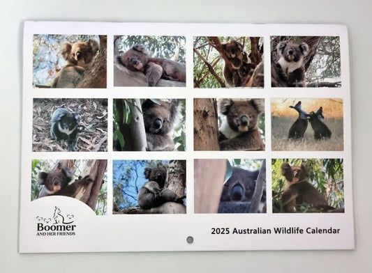 Boomer & her Friends 2025 Calendar