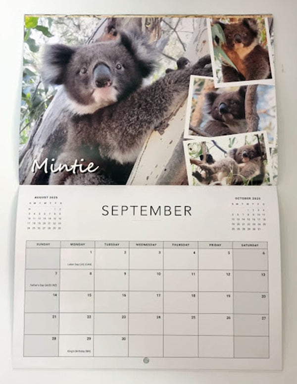 Boomer & her Friends 2025 Calendar