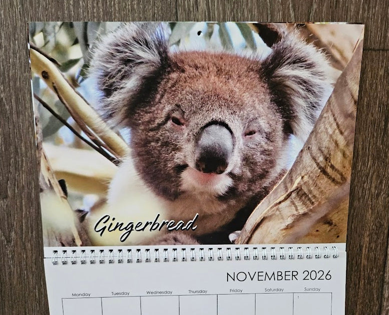 Boomer & her Friends 2026 Calendar