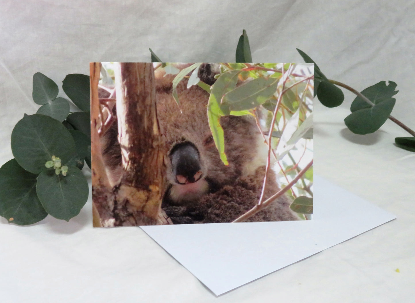 Boomer & her Friends Blank Greeting Card - Boomer 01