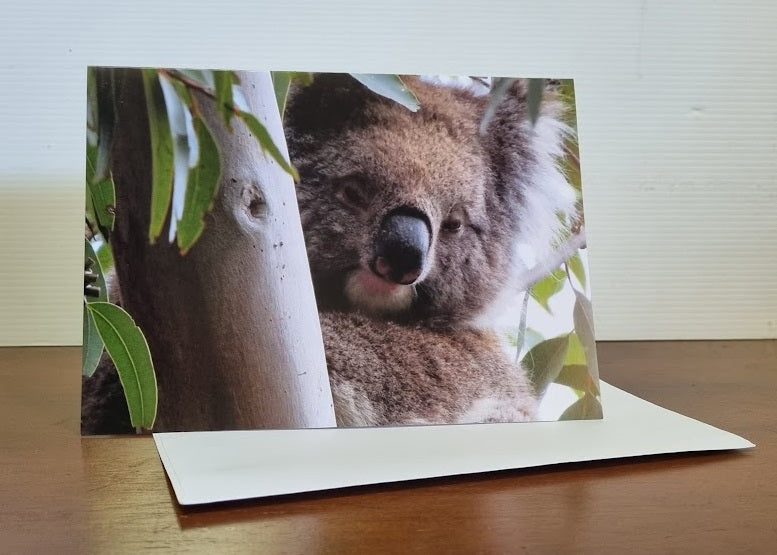 Boomer & her Friends Blank Greeting Card - Boomer 02