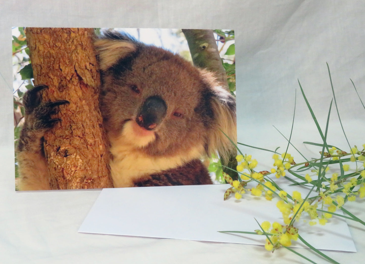 Boomer & her Friends Blank Greeting Card - Betsy