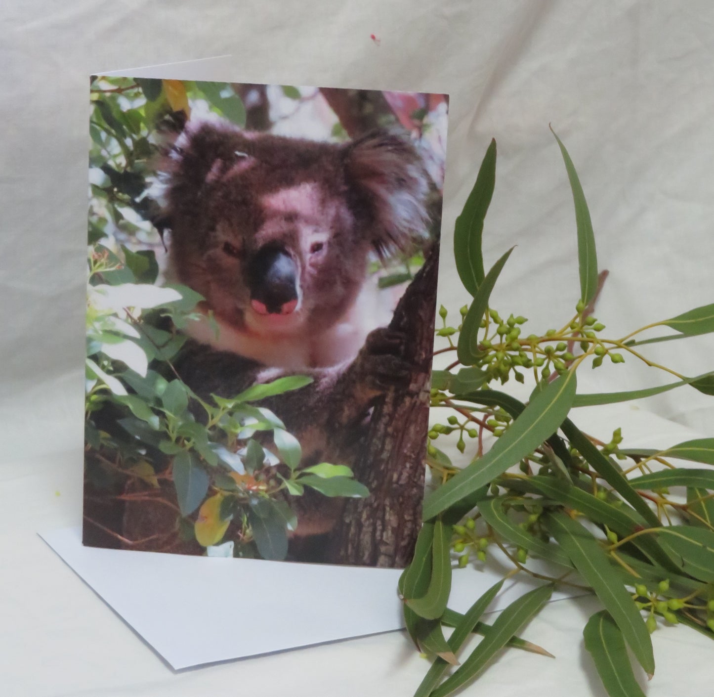 Boomer & her Friends Blank Greeting Card - Duke