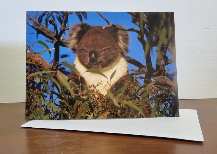 Boomer & her Friends Blank Greeting Card - Ellie 02