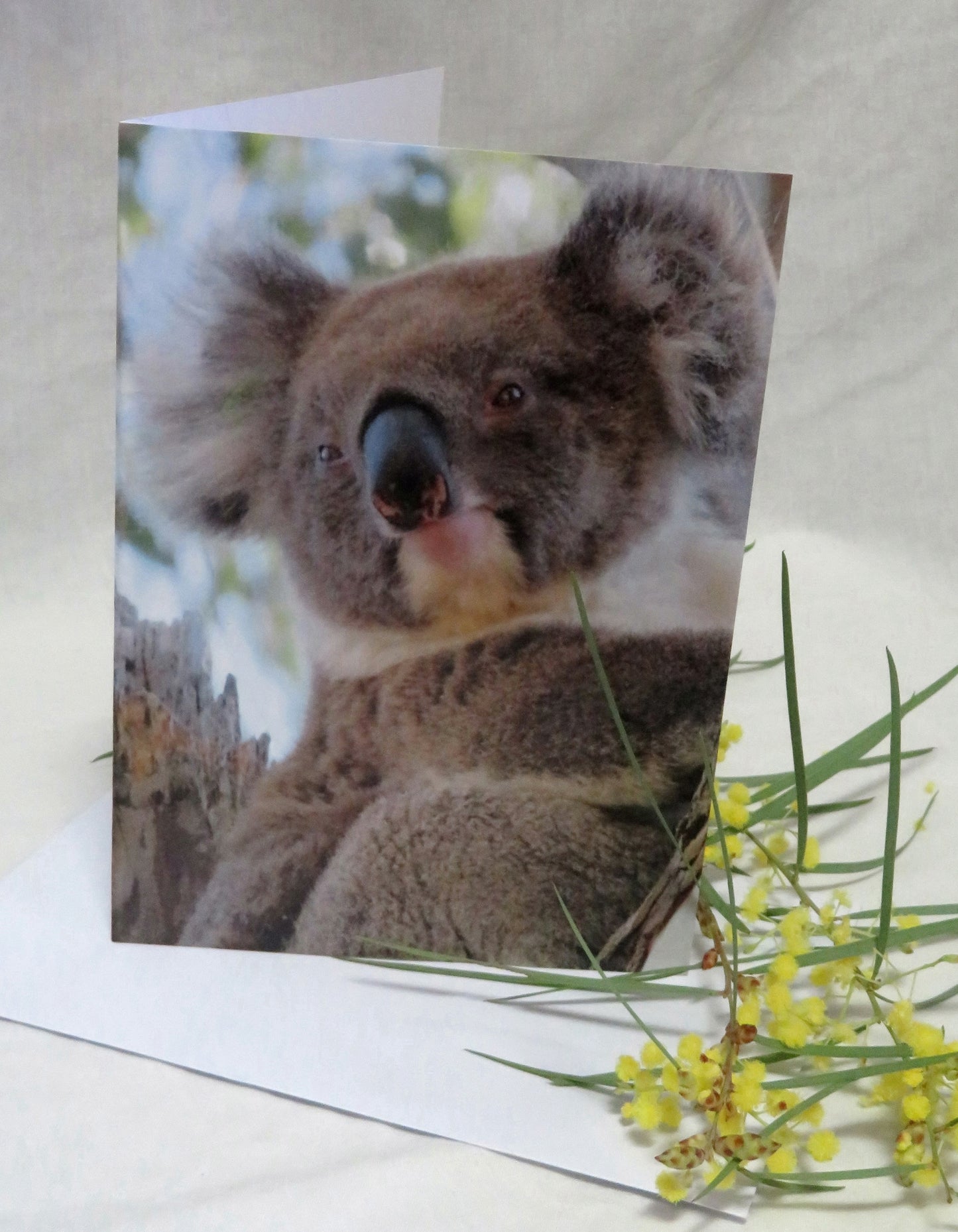Boomer & her Friends Blank Greeting Card - Ellie 03