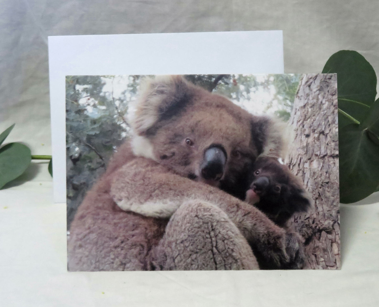 Boomer & her Friends Blank Greeting Card - Ellie & Jellybean 20