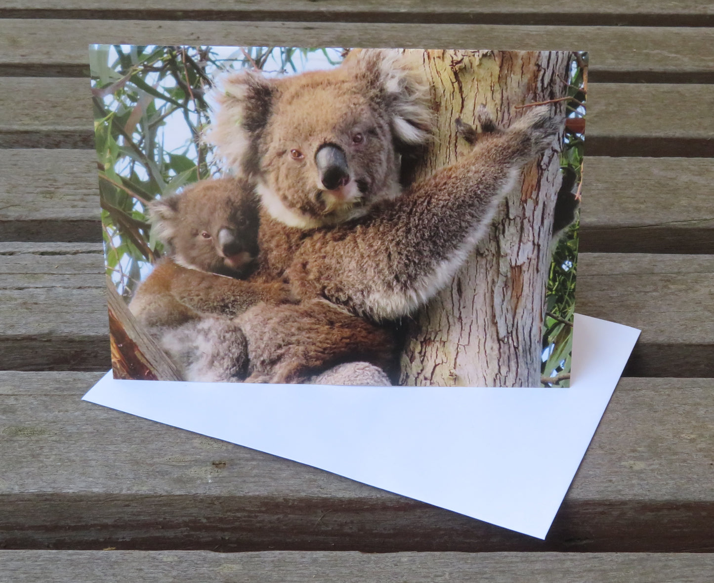 Boomer & her Friends Blank Greeting Card - Ellie & Mintie 23