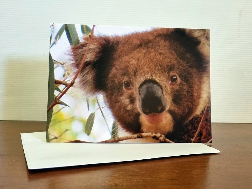 Boomer & her Friends Blank Greeting Card - Fruchoc 01