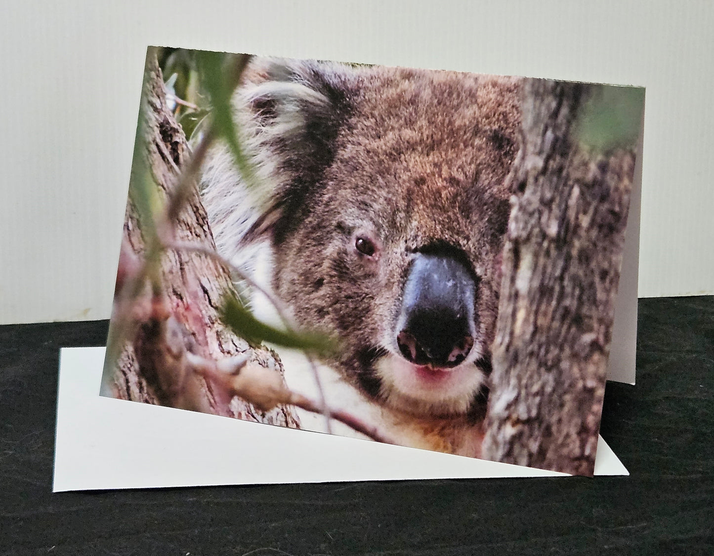 Boomer & her Friends Blank Greeting Card - Franklin 04