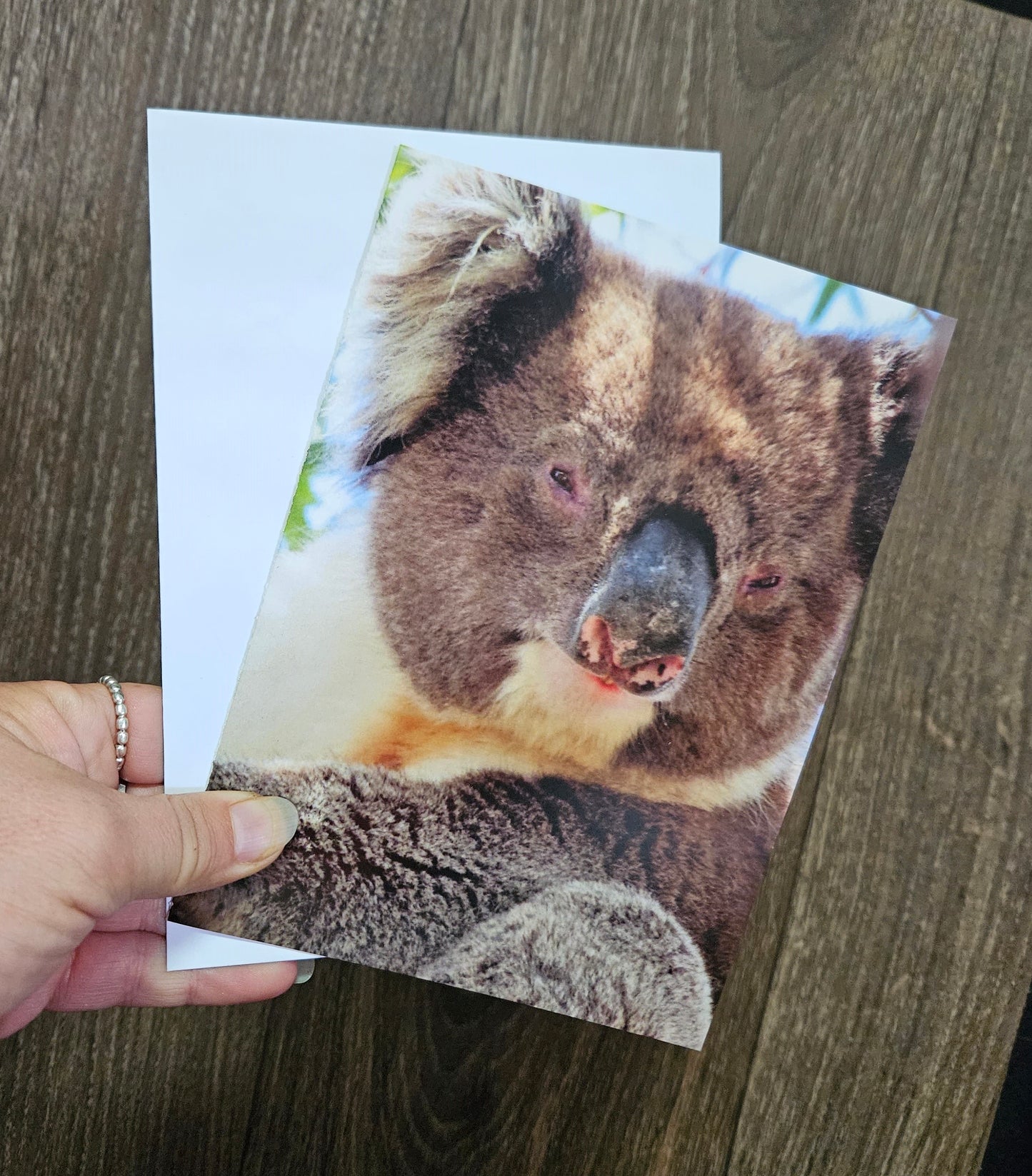 Boomer & her Friends Blank Greeting Card - Franklin 05