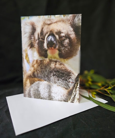 Boomer & her Friends Blank Greeting Card - Fantale 03