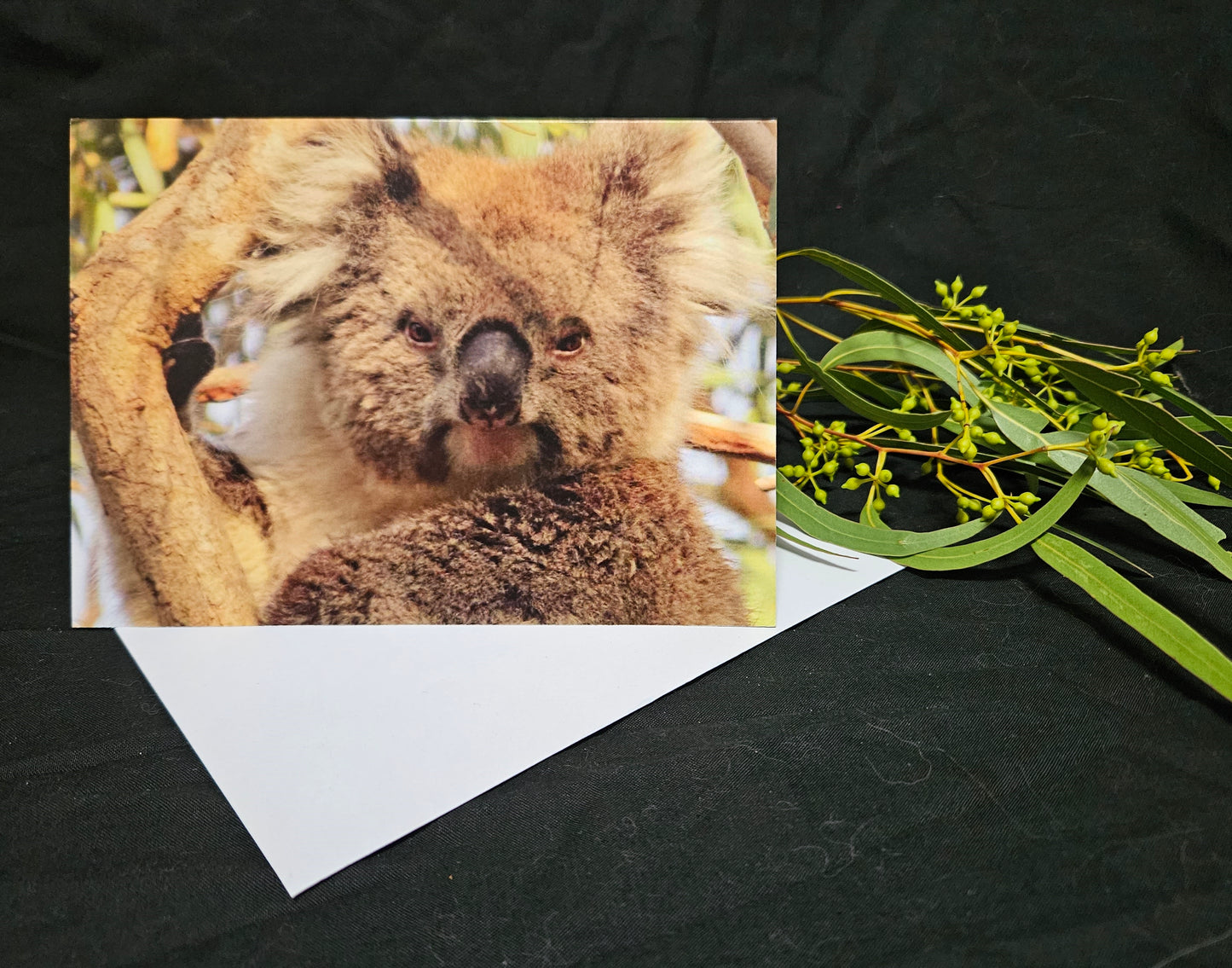 Boomer & her Friends Blank Greeting Card - Inky