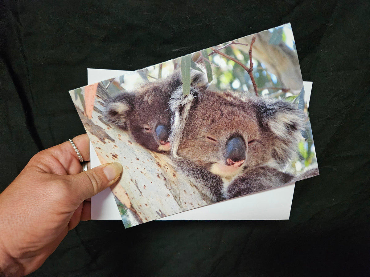 Boomer & her Friends Blank Greeting Card - Jordan & Jingle 01