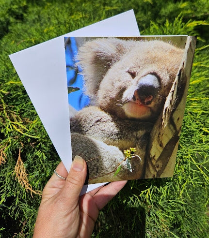 Boomer & her Friends Blank Greeting Card - Rafael 03