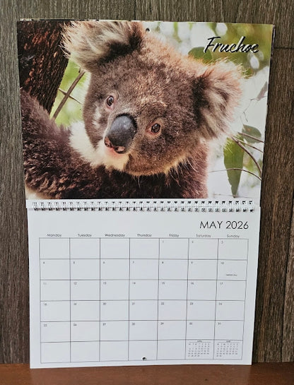 Boomer & her Friends 2026 Calendar