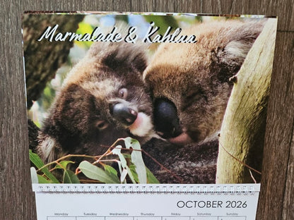 Boomer & her Friends 2026 Calendar