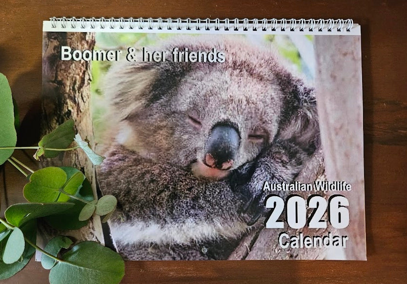 Boomer & her Friends 2026 Calendar
