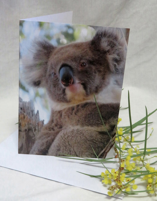 Boomer & her Friends Blank Greeting Card - Ellie 03