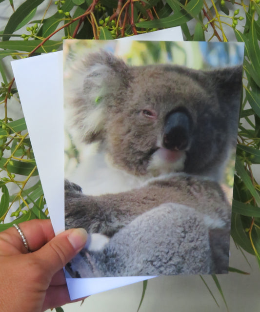 Boomer & her Friends Blank Greeting Card - Ellie 04