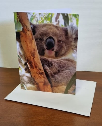 Boomer & her Friends Blank Greeting Card - Ellie 05