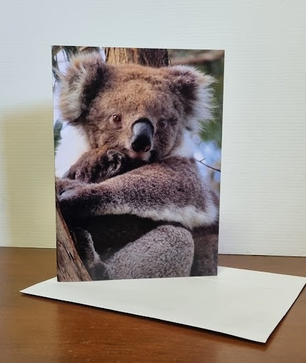 Boomer & her Friends Blank Greeting Card - Ellie & Mintie 22