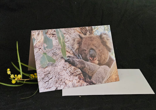 Boomer & her Friends Blank Greeting Card - Franklin 02