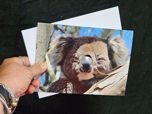 Boomer & her Friends Blank Greeting Card - Franklin 03