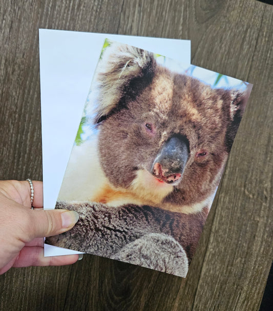 Boomer & her Friends Blank Greeting Card - Franklin 05