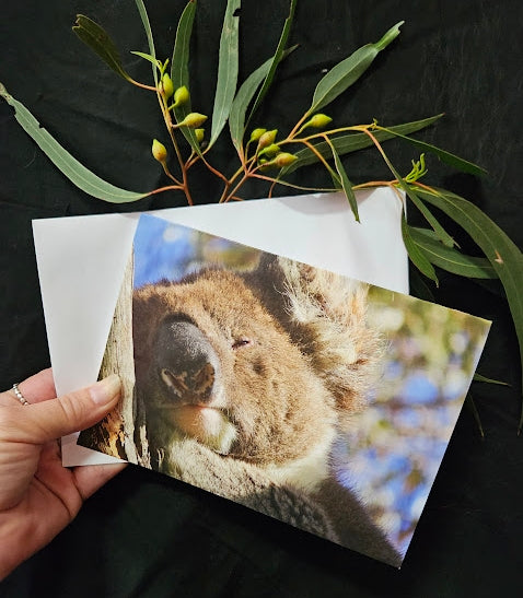 Boomer & her Friends Blank Greeting Card - Franklin 07