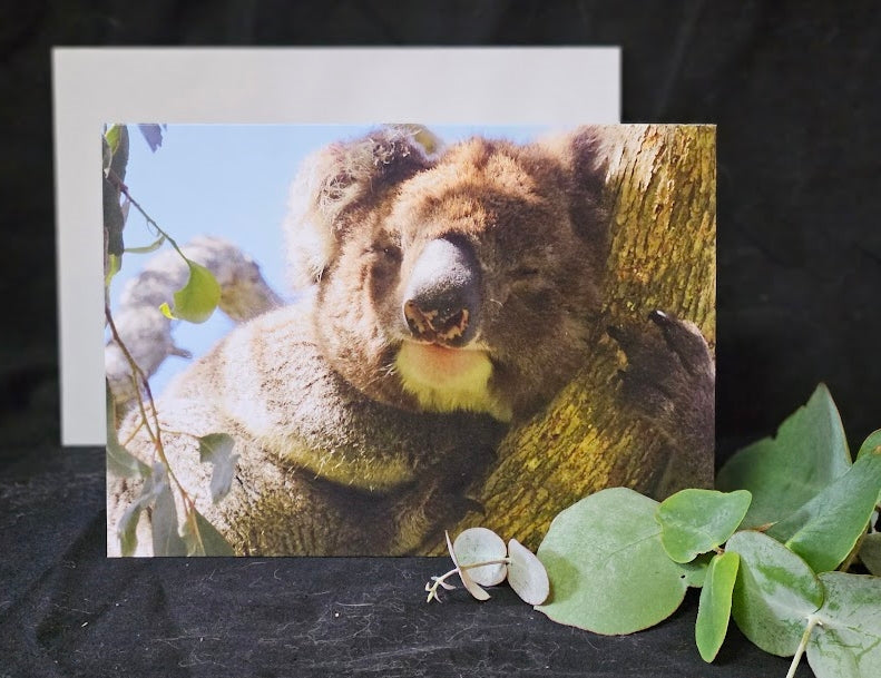 Boomer & her Friends Blank Greeting Card - Franklin 08