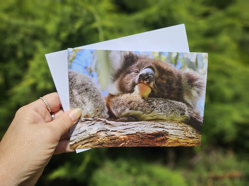 Boomer & her Friends Blank Greeting Card - Fantale 02