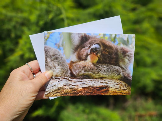 Boomer & her Friends Blank Greeting Card - Fantale 02