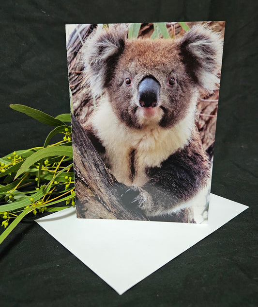 Boomer & her Friends Blank Greeting Card - Gingerbread 01