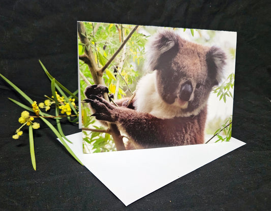 Boomer & her Friends Blank Greeting Card - Georgie