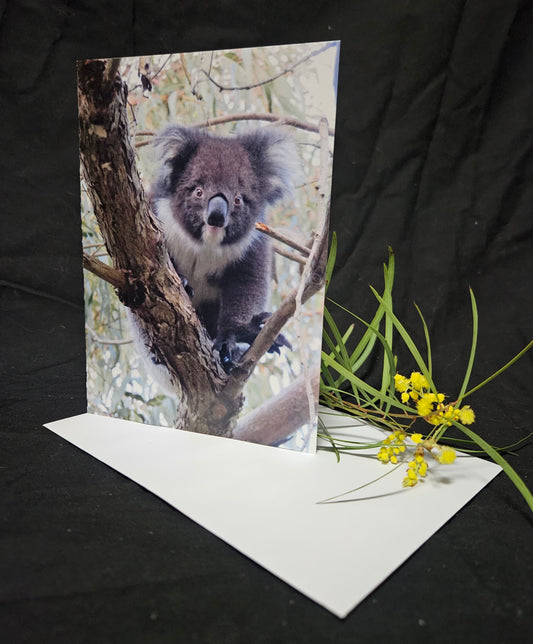 Boomer & her Friends Blank Greeting Card - Jellybean 01