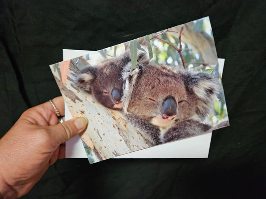 Boomer & her Friends Blank Greeting Card - Jordan & Jingle 01