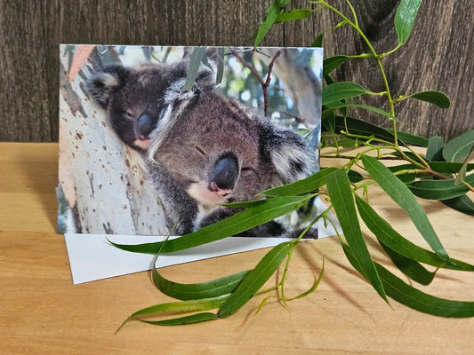 Boomer & her Friends Blank Greeting Card - Jordan & Jingle 01