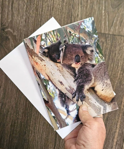 Boomer & her Friends Blank Greeting Card - Jordan & Jingle 02