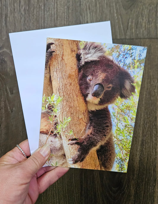 Boomer & her Friends Blank Greeting Card - Jaffa