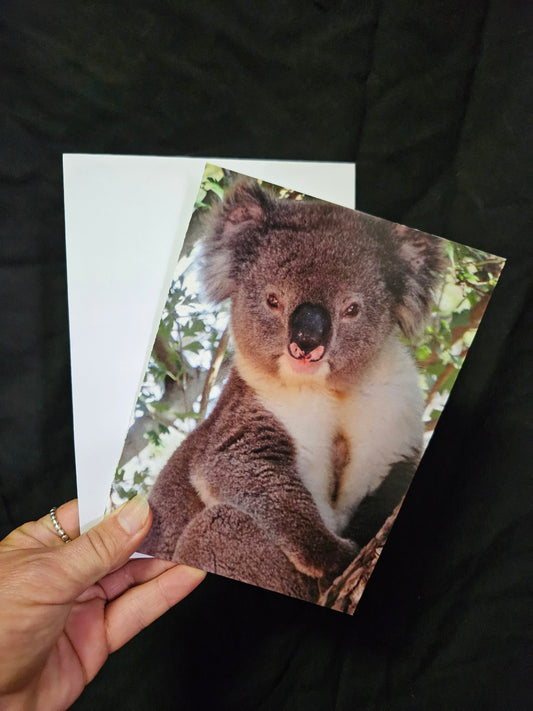 Boomer & her Friends Blank Greeting Card - Jekyll