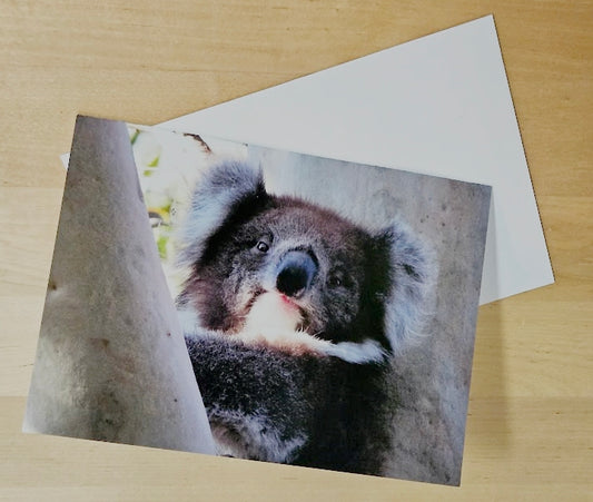 Boomer & her Friends Blank Greeting Card - Kia-Ora