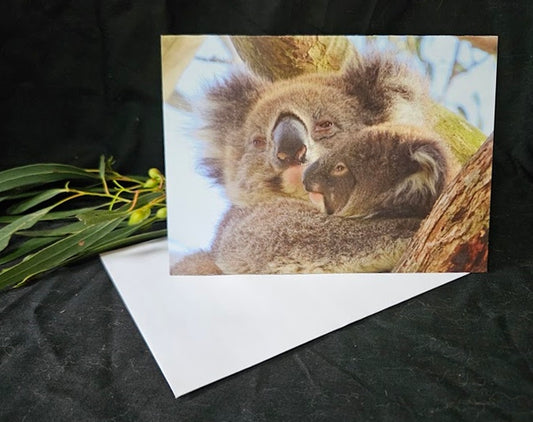 Boomer & her Friends Blank Greeting Card - Marmalade & Kahlua 22