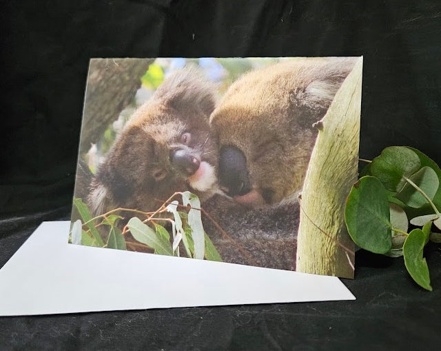 Boomer & her Friends Blank Greeting Card - Marmalade & Kahlua 23