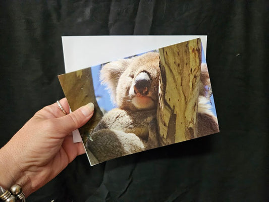 Boomer & her Friends Blank Greeting Card - Rafael 04