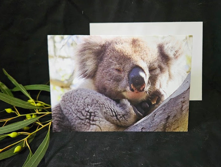 Boomer & her Friends Blank Greeting Card - Rafael 05